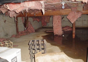 fiberglass insulation dripping off the ceiling of a crawl space in Penn Yan.