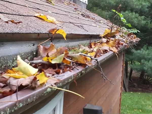 The Greater Finger Lakes Area clogged gutters