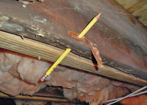Destroyed crawl space structural wood in Palmyra