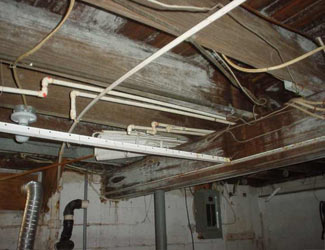 a humid basement overgrown with mold and rot in Gorham
