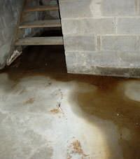 Flooding floor cracks by a hatchway door in Clarkson