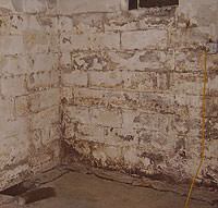 Peeling, Chipping, Basement Wall Coatings in 