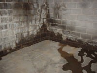 flooded basement with leaky basement walls in , NY